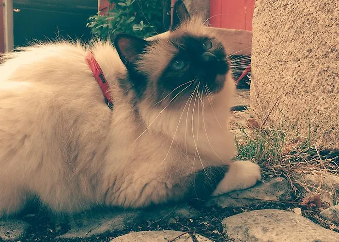 Hotel Le Sauvage Dijon